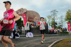 BIB: 
                            <button type="button" onclick="openModal(26529099)" class="btn btn-primary btn-sm float-right btn-popup" data-toggle="modal" data-target=".modal-high-quality">
                        <i class="fas fa-shopping-cart"></i> Add to Cart
                    </button>
                                            <button type="button" onclick="isThisMe(26529099, true)" class="btn btn-success btn-sm float-right btn-popup btn-isme hidden" data-toggle="tooltip" data-placement="bottom" title="นี่คือรูปของคุณใช่ไหม คลิกที่นี่เพื่อเอาเข้าอัลบั้ม">
                        <i class="fas fa-plus"></i> Add to album
                    </button>
                    <button type="button" onclick="isThisMe(26529099, false)" class="btn btn-warning btn-sm float-right btn-popup btn-isnotme hidden">
                        <i class="fas fa-ban"></i> Remove from album
                    </button>